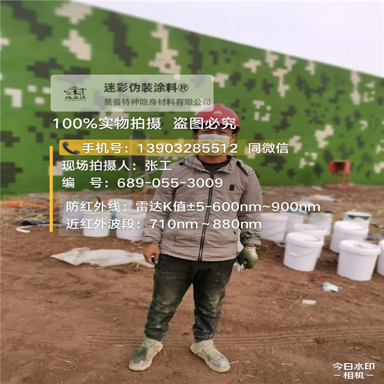 保亭​包括外墙、护坡、水泥地面建筑物的迷彩喷涂